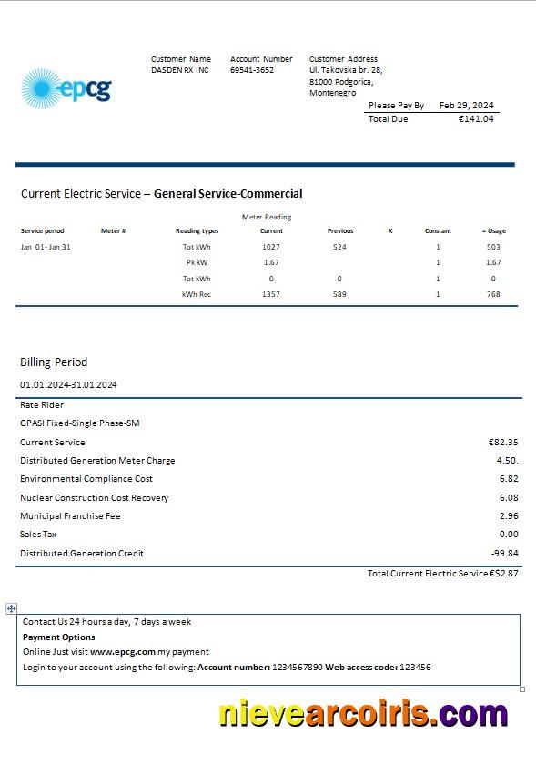 Montenegro Elektroprivreda Crne Gore (EPCG) electricity business utility bill